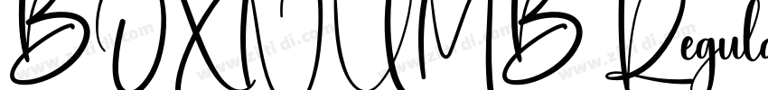 BOXNUMB Regular字体转换